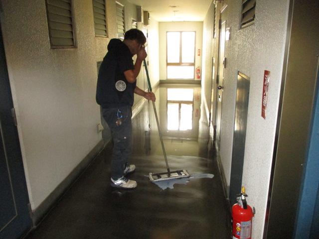葛飾区某物件定期清掃