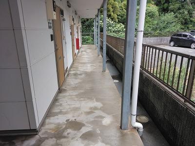 通路脇の外構部分 かなり黒ずんでいます